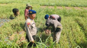 Sat Polairud Polres Bangli Sambang Petani Pesisir Danau, Dukung Ketahanan Pangan Nasional.